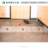 捕抓鼠神器魔毯老鼠粘-強力粘鼠板捕抓透明魔毯3.jpg