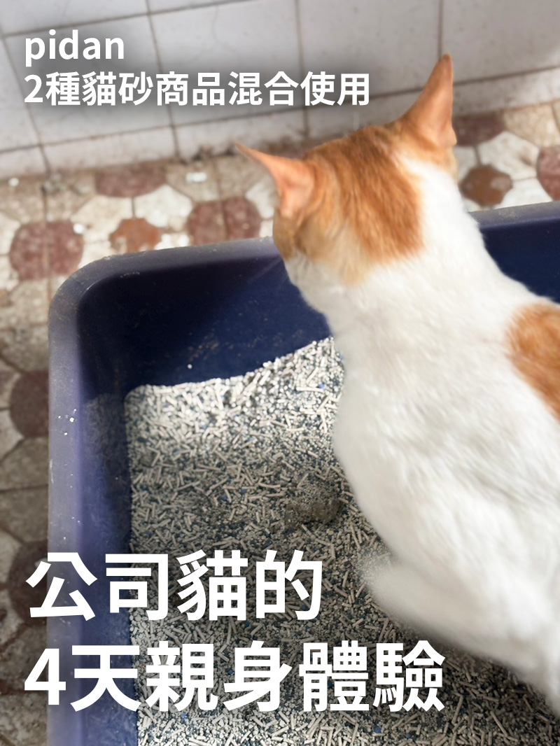 pidan 貓砂