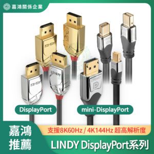 LINDY林帝 DisplayPort / mini-DisplayPort系列