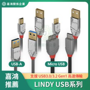 LINDY林帝 USB-A / Micro USB系列
