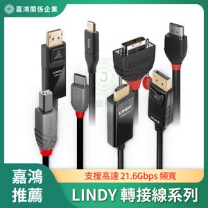 LINDY林帝 轉接線系列